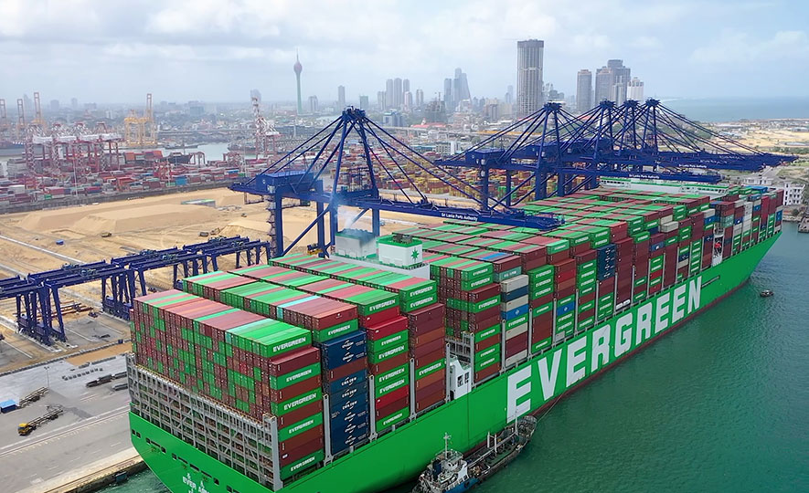 export earning february 2025 01