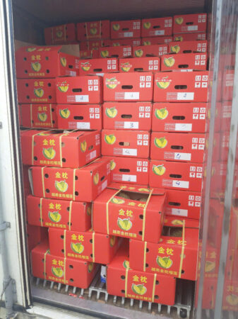 07458ed8dbc8699630d9