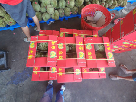 558529c306c4b49aedd5