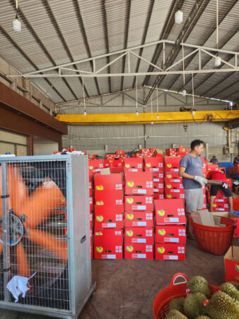 751595572f2d9d73c43c