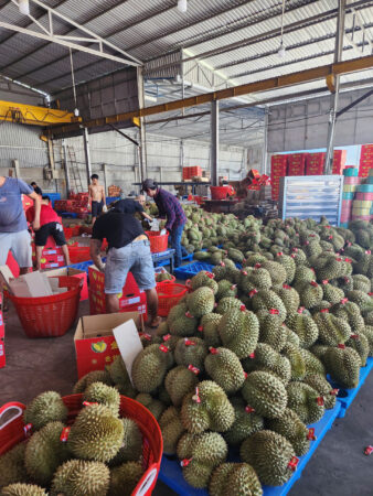 ef421d1aa760153e4c71