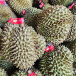 f80445662262903cc973