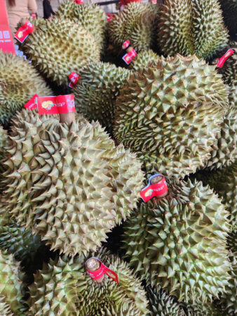 f80445662262903cc973